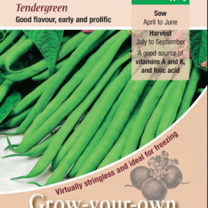 Kings Seeds Dwarf French Bean Tendergreen 150 Seeds