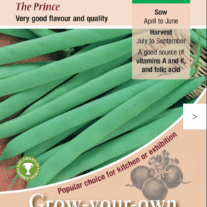Kings Seeds Dwarf French Bean The Prince 125 Seeds