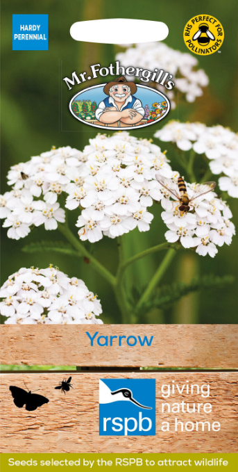 yarrow.png